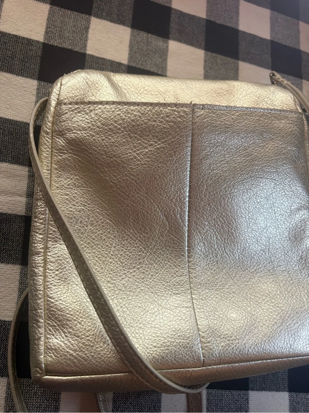 Champagne Gold Crossbody Bag - Women